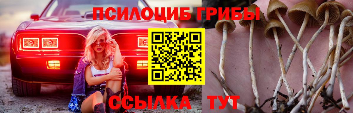 Псилоцибиновые грибы GOLDEN TEACHER  Псилоцибиновые грибы мицелий  Бийск  Вход с VPN 